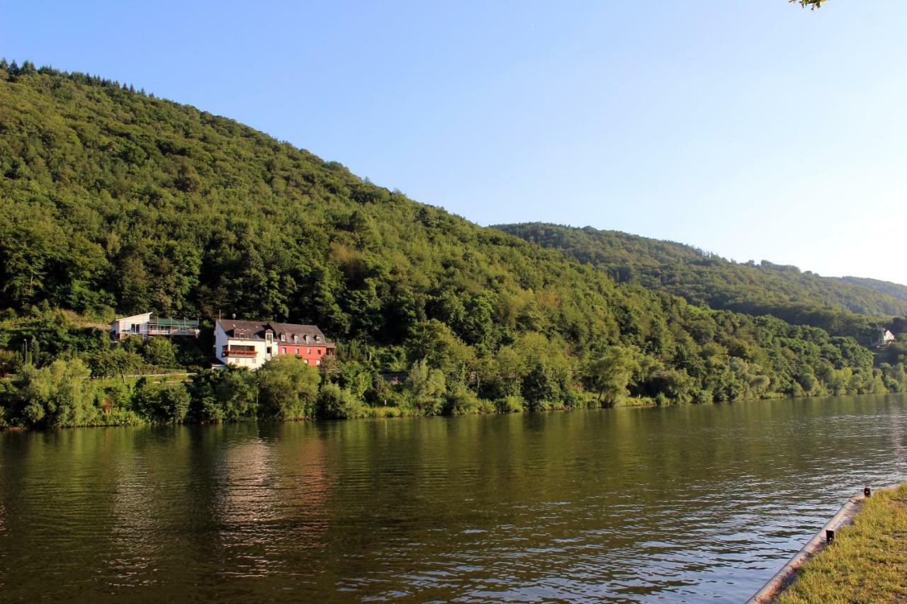 Ferienwohnung Moselblick Bernkastel-Kues Eksteriør billede